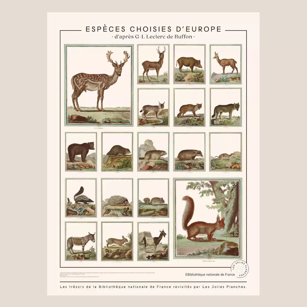 jolies-planches-planche-d-animaux-esp-ces-choisies-d-europe