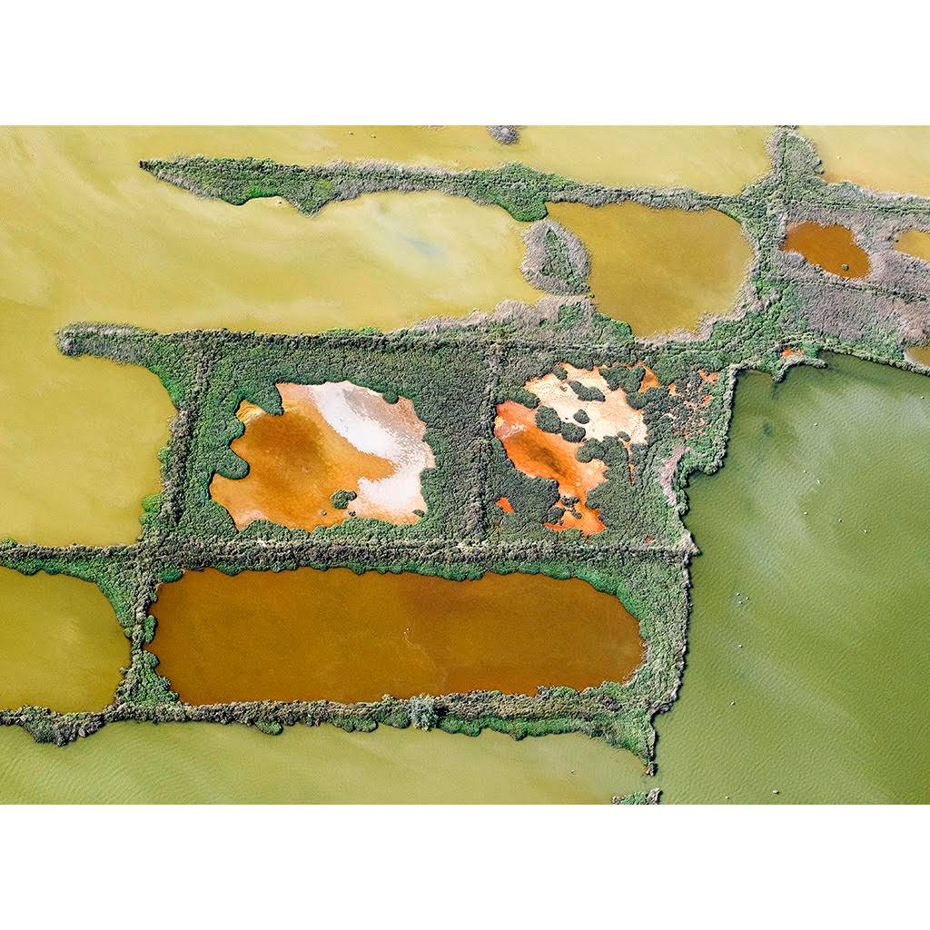 Photographie tirage d'art Thierry Vezon marais de camargue contrast