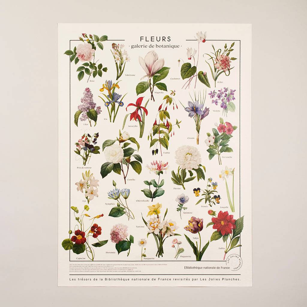 planche affiche de fleurs galerie botanique jolies planches vintage